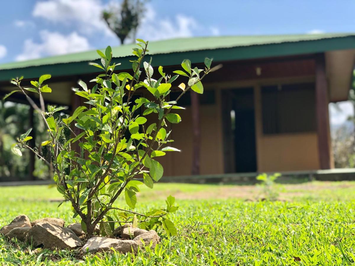 Villa Casita el jardin Bijagua Exterior foto