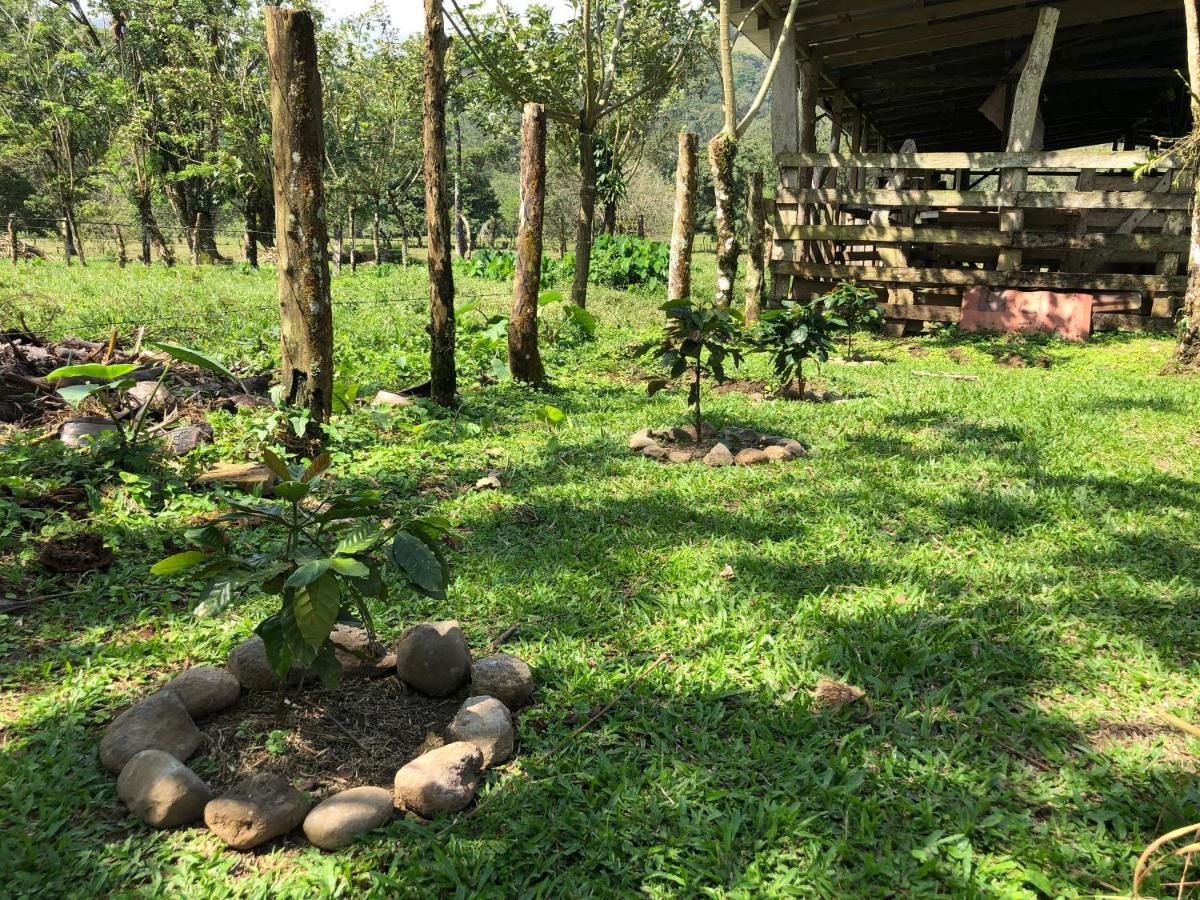 Villa Casita el jardin Bijagua Exterior foto